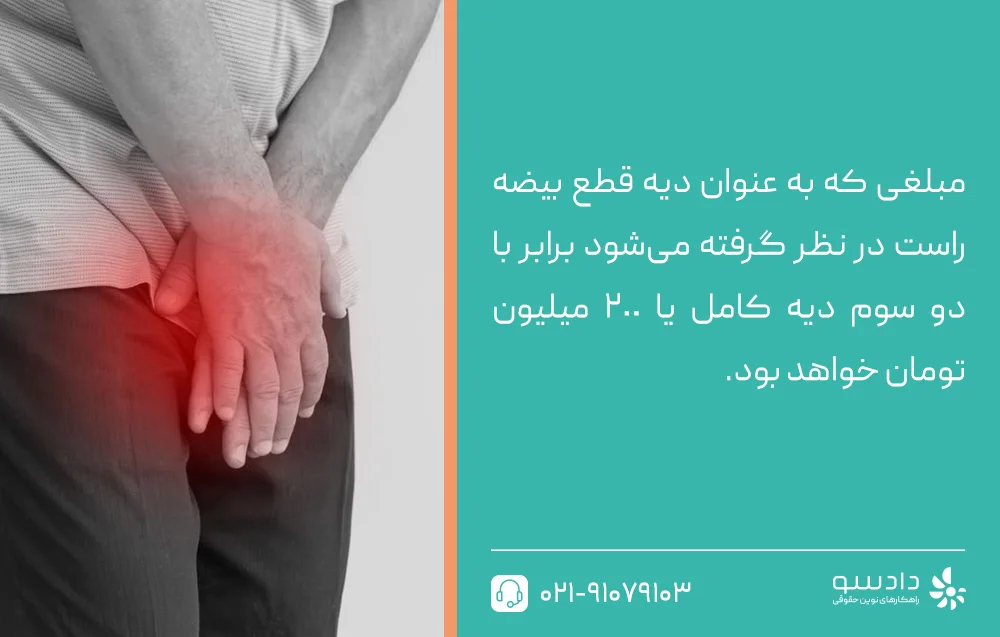 دیه قطع بیضه