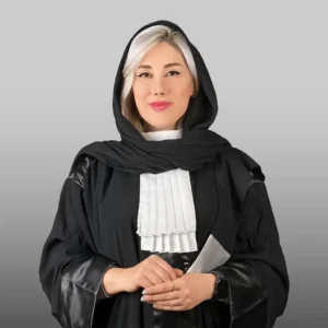 Picture of سونیا معماری